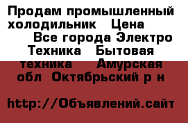 Продам промышленный холодильник › Цена ­ 40 000 - Все города Электро-Техника » Бытовая техника   . Амурская обл.,Октябрьский р-н